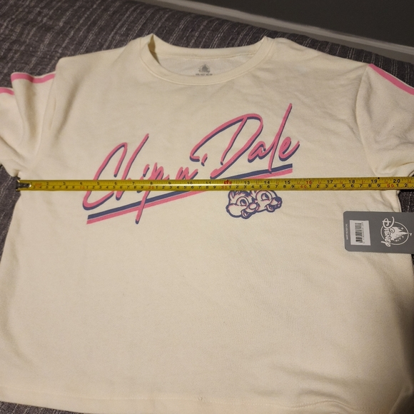 NWT Disney - Chip n' Dale Sweatshirt - Picture 9 of 10